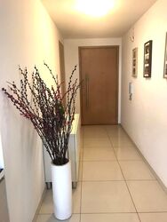 Oasis @ Elias (D18), Condominium #551258981